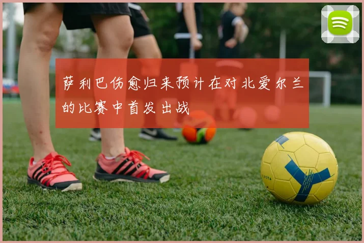 萨利巴伤愈归来预计在对北爱尔兰的比赛中首发出战