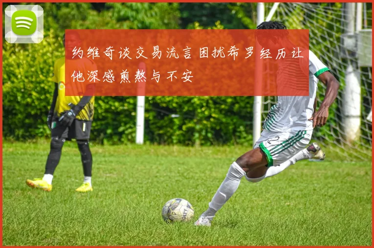 约维奇谈交易流言困扰希罗经历让他深感煎熬与不安